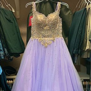 Ballgown Lavender/Lilac prom dress. Designer: Jovani Size:6 Has been altered